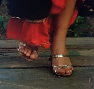 Meenakshi Sheshadri feet photo 6