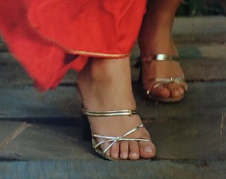 Meenakshi Sheshadri feet photo 4