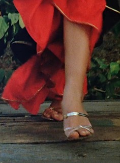 Meenakshi Sheshadri feet photo 3