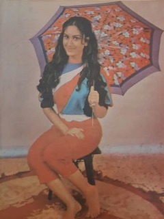 Meenakshi Sheshadri feet photo 15