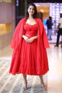 Meenakshii Chaudhary feet photo 17