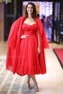 Meenakshii Chaudhary feet photo 16