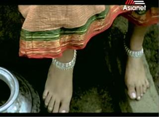 Meera Nandan feet photo 10