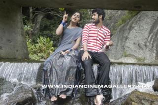 Meera Nandan feet photo 14
