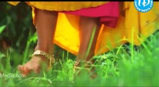 Meera Vasudevan feet photo 16