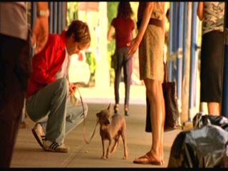 Meg Ryan feet photo thumbnail