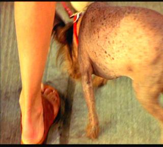 Meg Ryan feet photo thumbnail