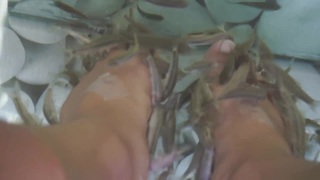 Megan Batoon feet photo thumbnail