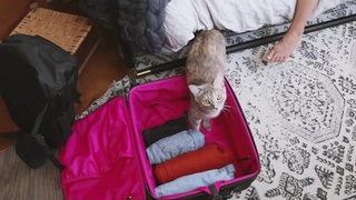 Megan Batoon feet photo thumbnail