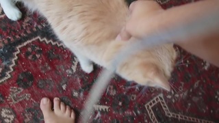 Megan Batoon feet photo thumbnail