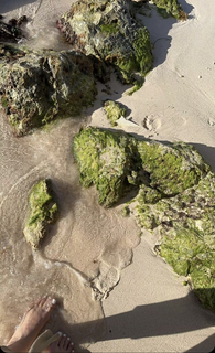 Megan Eugenio feet photo thumbnail