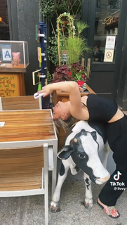 Megan Eugenio feet photo thumbnail