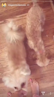 Megan Nicole feet photo 5