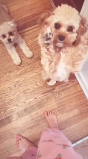 Megan Nicole feet photo 2