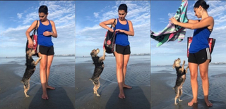 Megan Olivi feet photo thumbnail