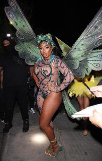 Megan Thee Stallion feet photo thumbnail