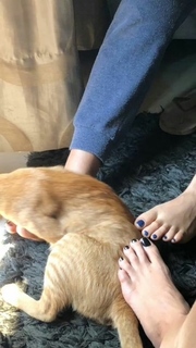 Megha Gupta feet photo thumbnail