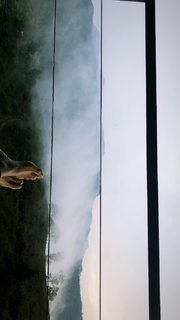 Megha Gupta feet photo thumbnail