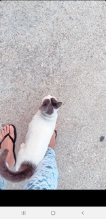 Megha Gupta feet photo thumbnail