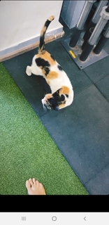 Megha Gupta feet photo thumbnail