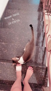 Megha Gupta feet photo thumbnail