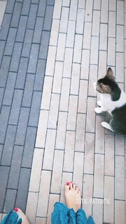 Megha Gupta feet photo thumbnail