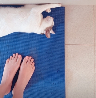 Megha Gupta feet photo thumbnail