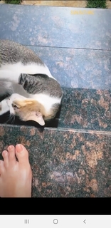 Megha Gupta feet photo thumbnail