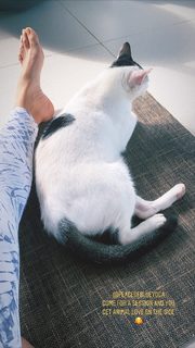 Megha Gupta feet photo thumbnail