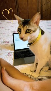 Megha Gupta feet photo thumbnail