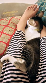 Megha Gupta feet photo thumbnail