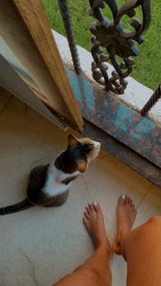 Megha Gupta feet photo thumbnail