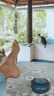 Megha Gupta feet photo thumbnail