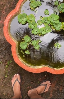 Megha Gupta feet photo thumbnail