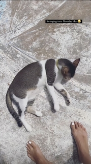 Megha Gupta feet photo thumbnail