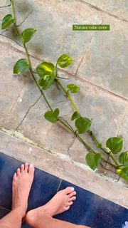 Megha Gupta feet photo thumbnail