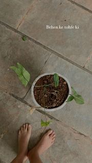 Megha Gupta feet photo thumbnail