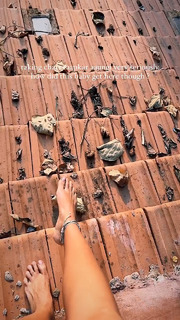 Megha Gupta feet photo thumbnail