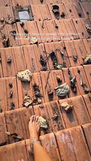 Megha Gupta feet photo thumbnail