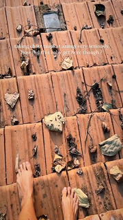 Megha Gupta feet photo thumbnail