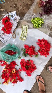 Megha Gupta feet photo thumbnail