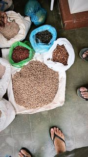 Megha Gupta feet photo thumbnail