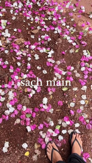 Megha Gupta feet photo thumbnail