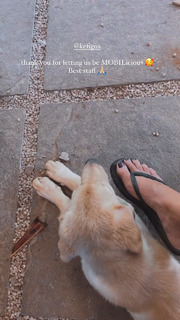 Megha Gupta feet photo thumbnail