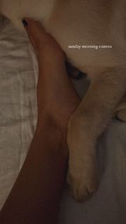 Megha Gupta feet photo thumbnail