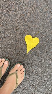 Megha Gupta feet photo thumbnail