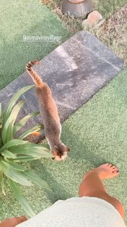 Megha Gupta feet photo thumbnail