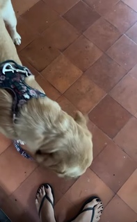 Megha Gupta feet photo thumbnail