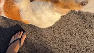 Megha Gupta feet photo thumbnail