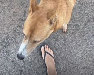 Megha Gupta feet photo thumbnail